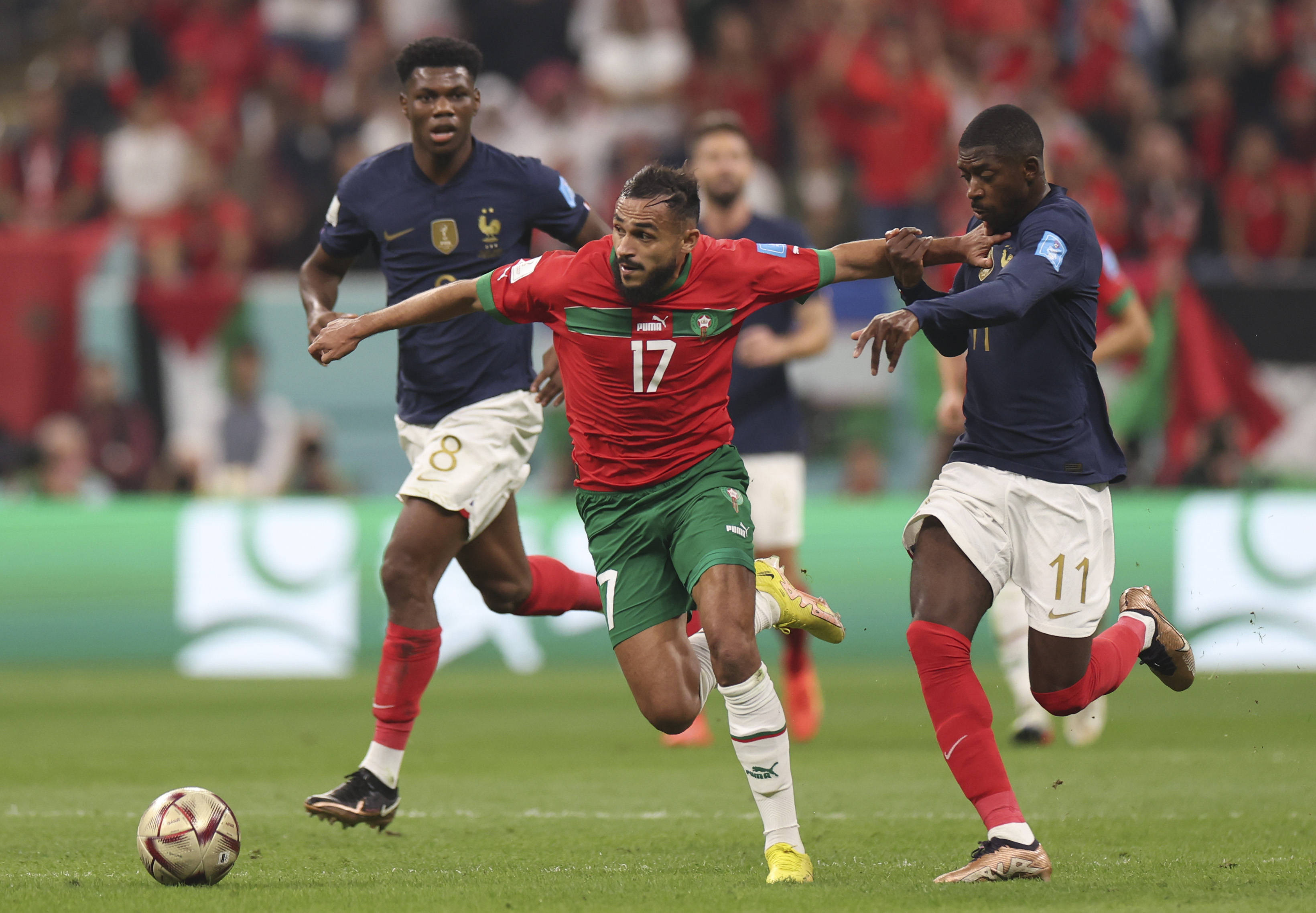 可以在球队 可以在球队