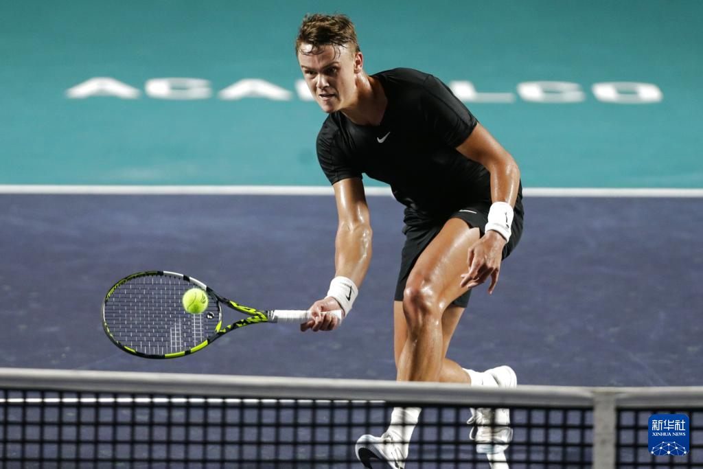 生涯的辉煌 生涯的辉煌