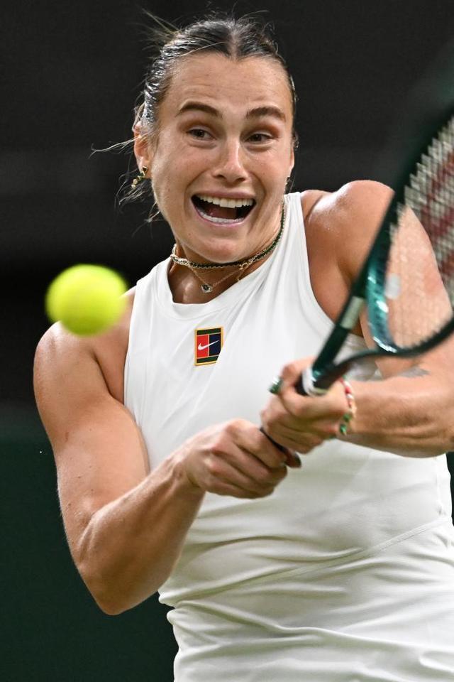 未来展望 未来展望